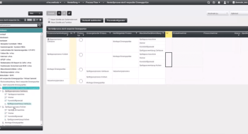 Softwarescreen einer Beispiel FMEA Analyse in der e1ns Software